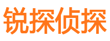 龙门市侦探公司